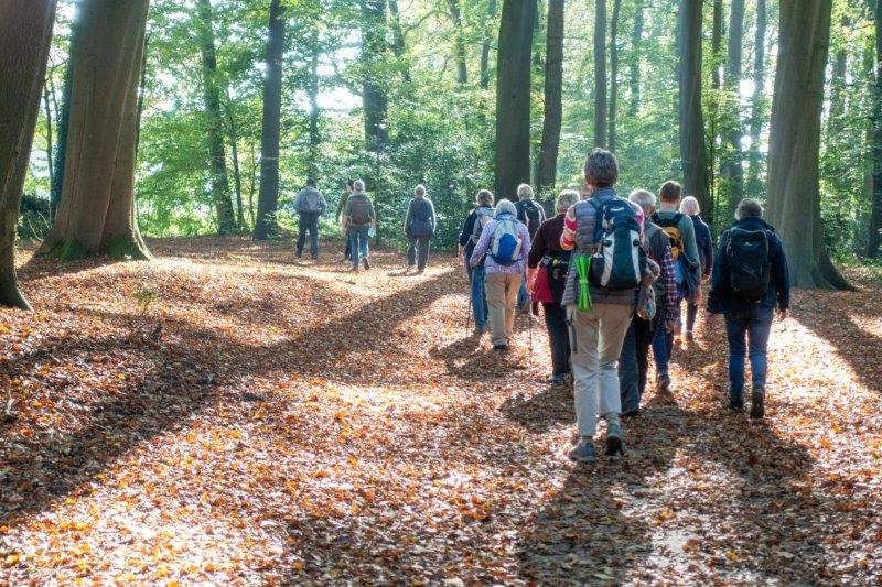 Wandeling Wandelmaatjes