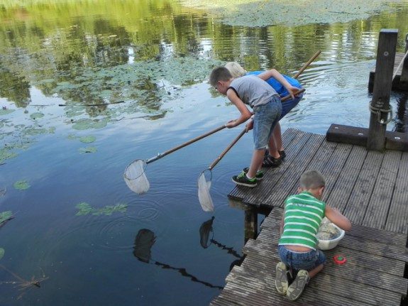 Expeditie Waterbeestjes en picknick