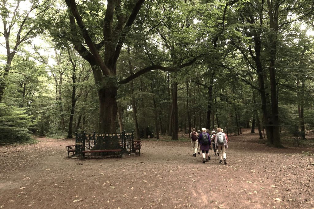 Wandeling Wandelmaatjes