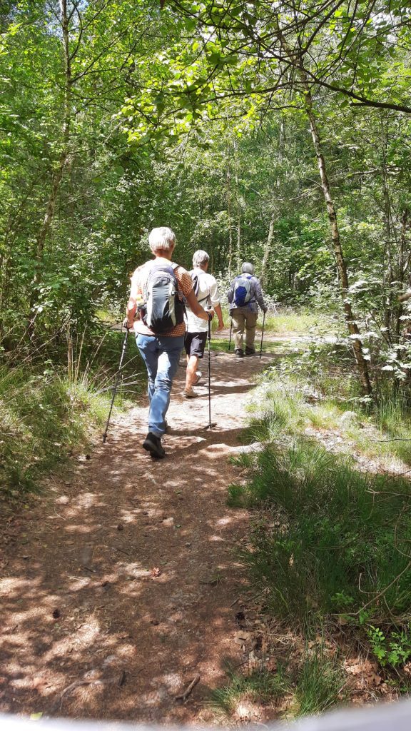 Wandeling Wandelmaatjes