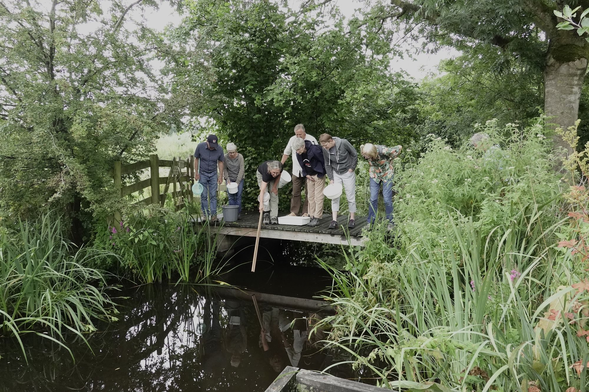250723_Waterbeestjes (1)