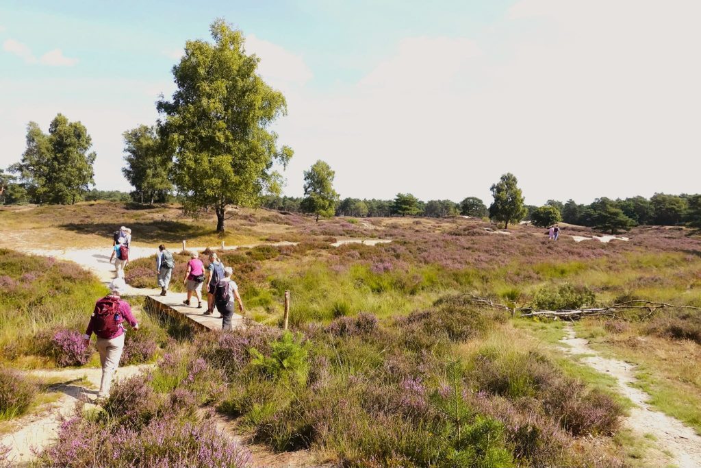 Wandeling Wandelmaatjes