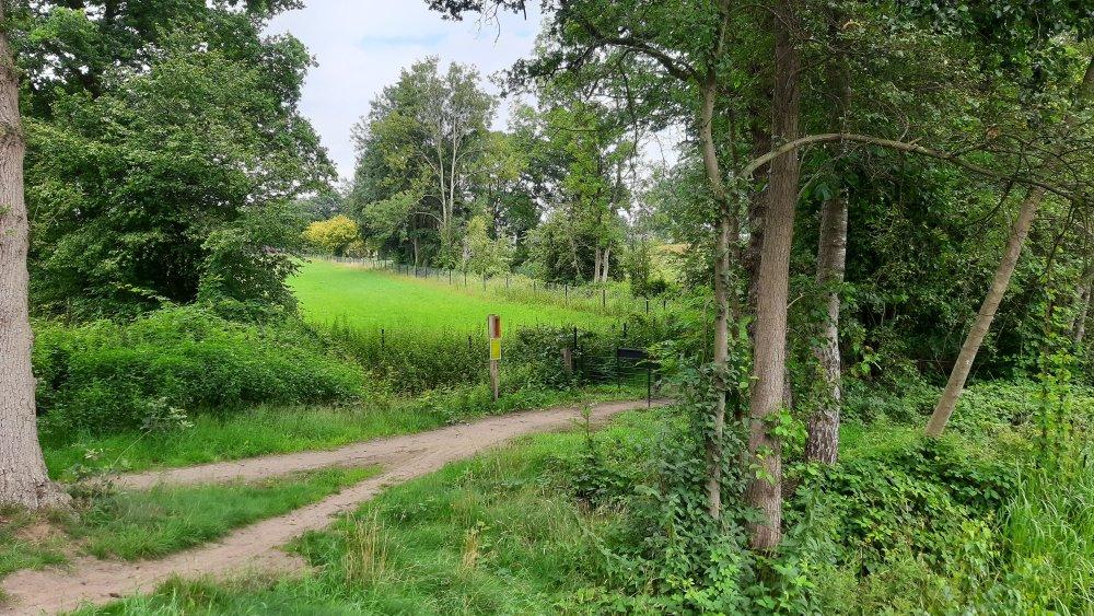 Wandeling Wandelmaatjes