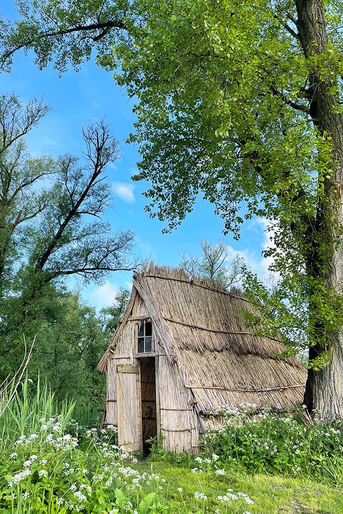 Ontdek het Griendmuseumpad in de Biesbosch op dinsdag 7 juli