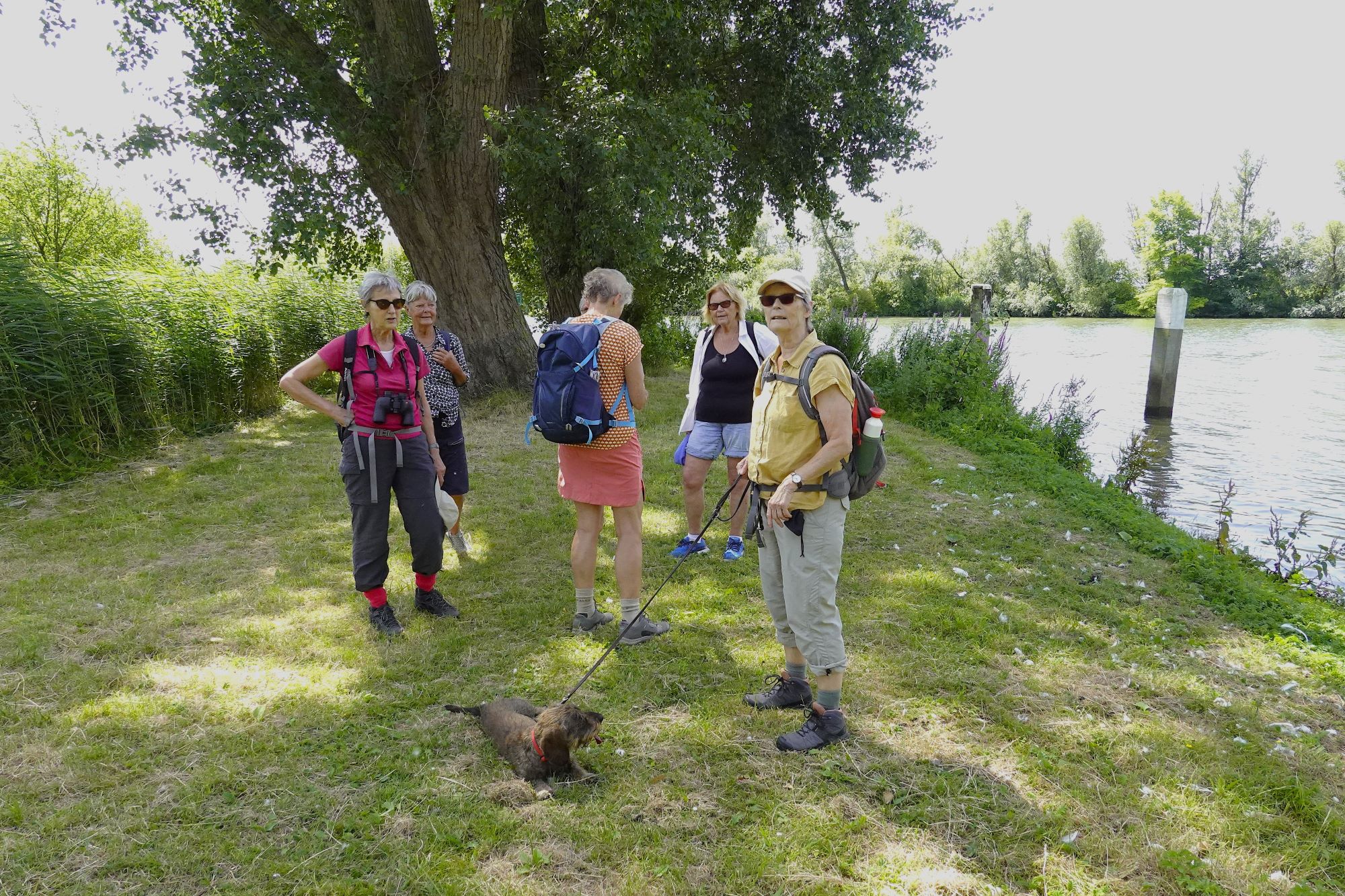  Wandeling Griendmuseumpad in de Hollandse Biesbosch              07-07-2026 