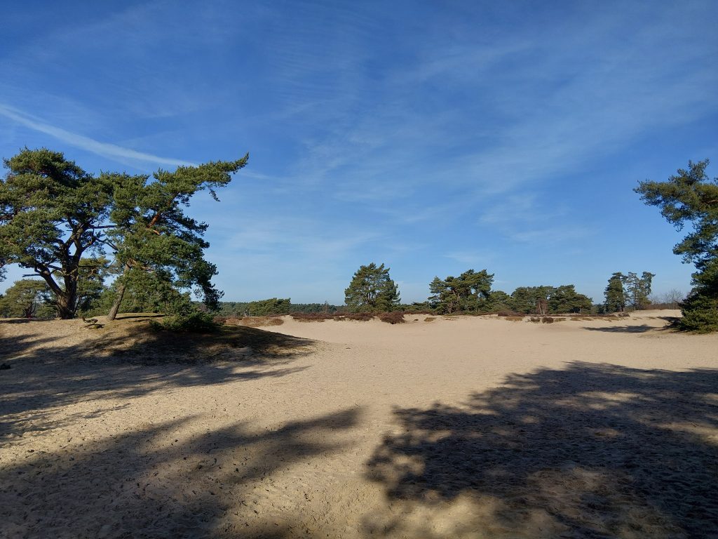 Wandeling Wandelmaatjes