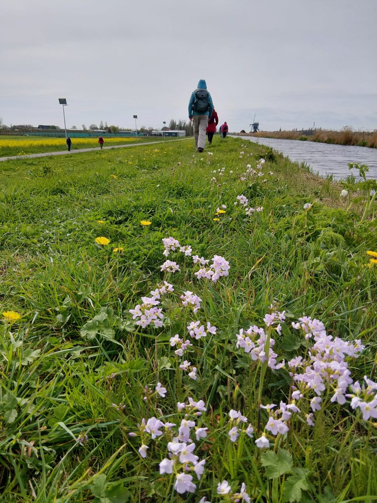 Wandeling Wandelmaatjes